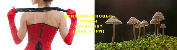 твердый Киреевск