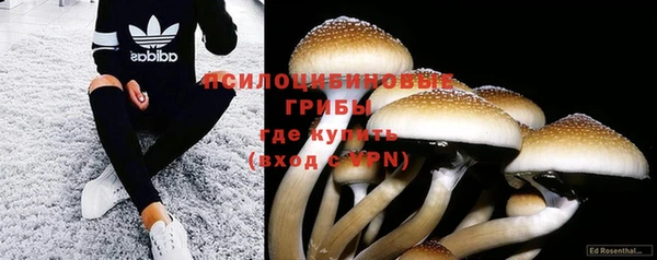 хмурый Кинешма